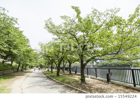 Park image 15549224