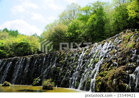 花城市公園的瀑布·Meisamu 15549421