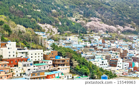 Gamcheon Culture Village, Busan Gamcheon Culture Village, Busan 15549963