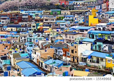 Gamcheon Culture Village, Busan Gamcheon Culture Village, Busan 15549968