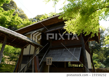 Shigetei Takaderaji京都 Shigetei Takaderaji京都 15550232