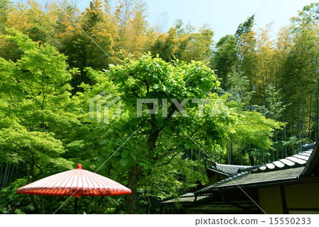Teahouse Kodaiji Kyoto Teahouse Kodaiji Kyoto 15550233