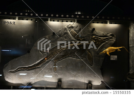 Fish dragon icle Thiosaurus 15550335