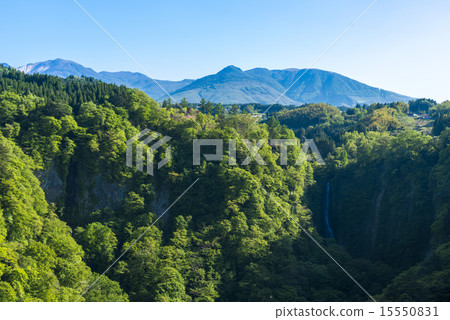 KyuyoiKei KyuyoiKei 15550831