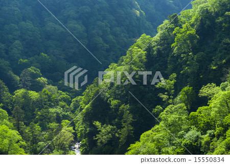 KyuyoiKei KyuyoiKei 15550834