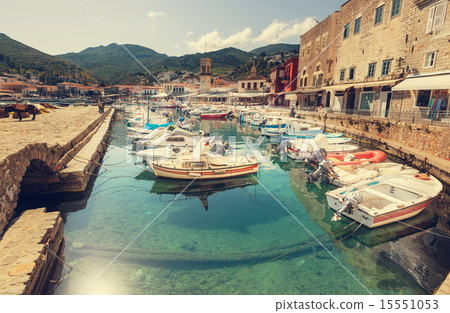 Hydra Hydra 15551053