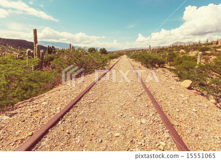 Northern Argentina 15551065