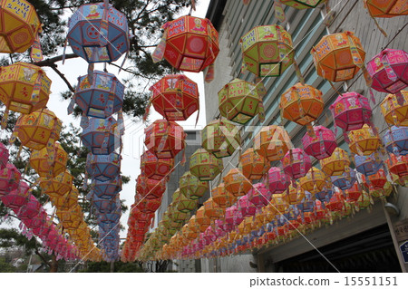 首爾的街景 15551151