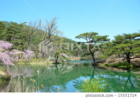 Hayamayama自然公園春季騷亂 15551724