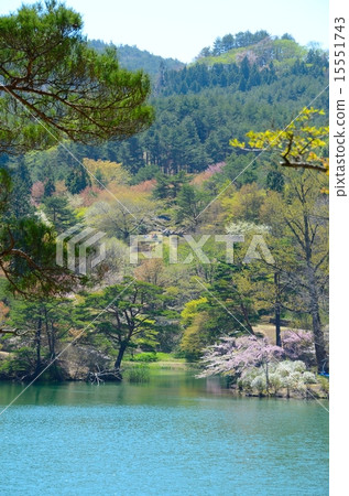 Hayamayama Nature Park Spring riot 15551743