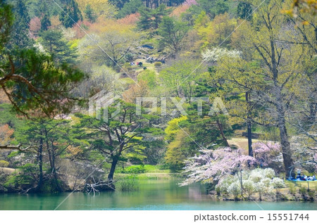 Hayamayama自然公園春季騷亂 15551744