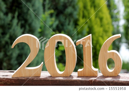 Year 2016 15551958