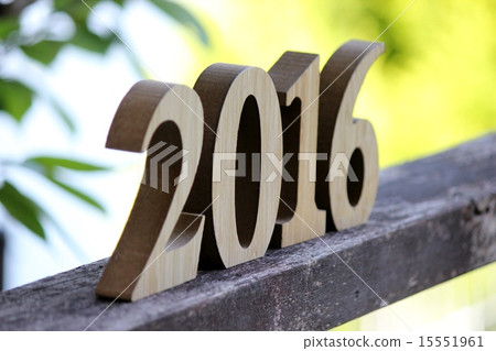 Year 2016 15551961