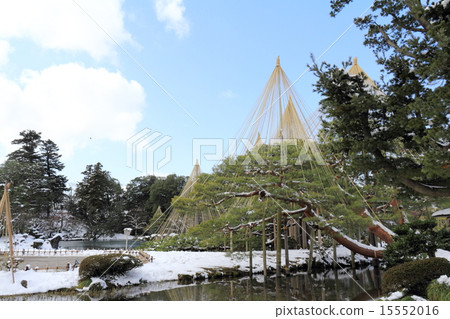 Kenrokuen in winter (Karasaki snow plow hanging) Kenrokuen in winter (Karasaki snow plow hanging) 15552016