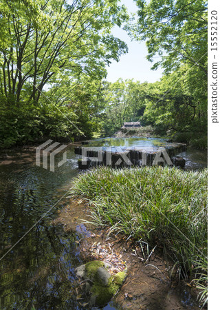 Shikoku village spring water vertical Shikoku village spring water vertical 15552120