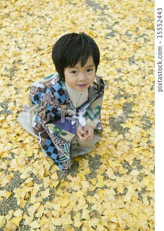 Shichigosan (5 years old) 15552443