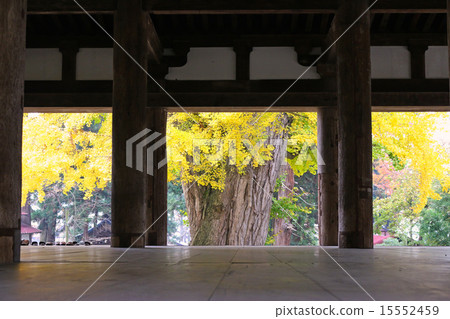 Shingu Kumano Shrine's long floor (national designated important cultural property) 15552459