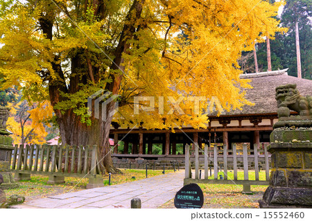 Shingu Kumano Shrine's long floor (national designated important cultural property) Shingu Kumano Shrine's long floor (national designated important cultural property) 15552460