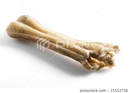 Eaten dog treat bone on background Eaten dog treat bone on background 15552736