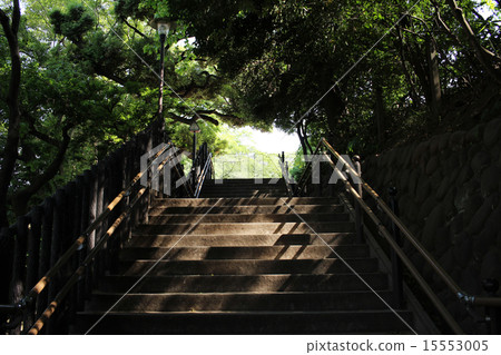 Sunbeams stairs 15553005