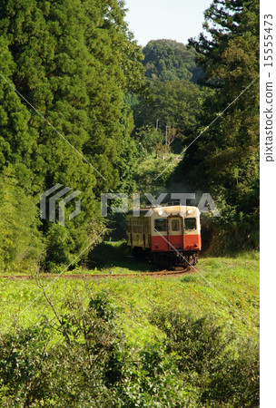 Kominato鐵路火車 Kominato鐵路火車 15555473