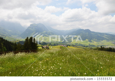 Appenzell landscape in Switzerland 15555572
