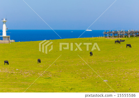 A landscape with a ranch lighthouse A landscape with a ranch lighthouse 15555586