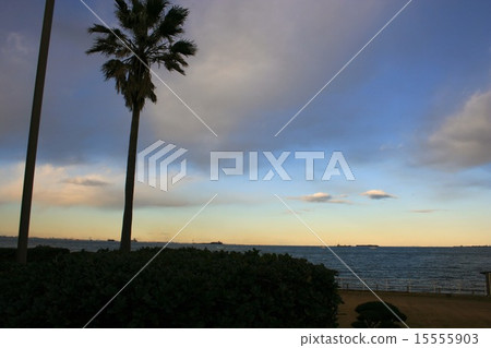 冬季景觀 冬季景觀 15555903