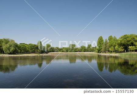 東平公園 15557130