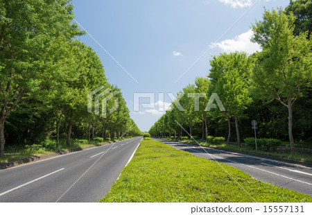 一條路 一條路 15557131