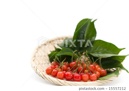 Early summer fruit cherries 15557212