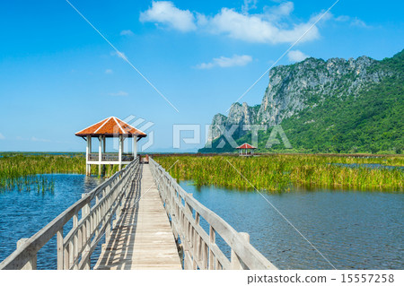 Wooden bridge and lake Wooden bridge and lake 15557258