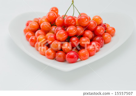 初夏的水果櫻桃 初夏的水果櫻桃 15557507
