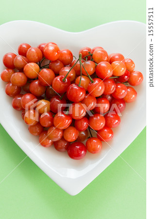 Early summer fruit cherries 15557511