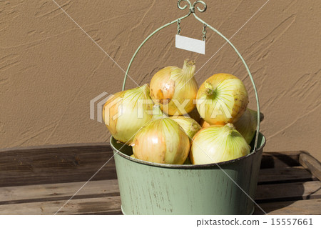 New Years of Awaji Island New Years of Awaji Island 15557661