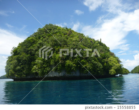 珊瑚礁島帕勞 15558855
