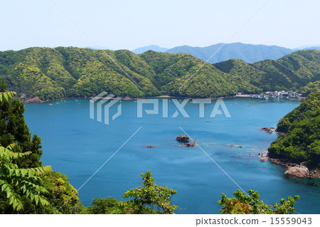海 海 15559043