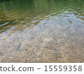 Clear water 15559358