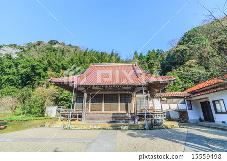 The main hall of Nishimoto Temple in the early spring of spring 15559498