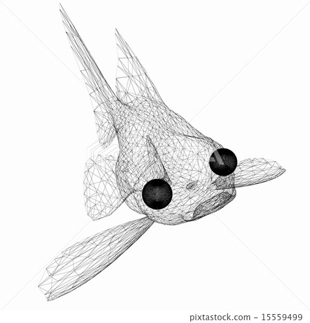 Fish 15559499