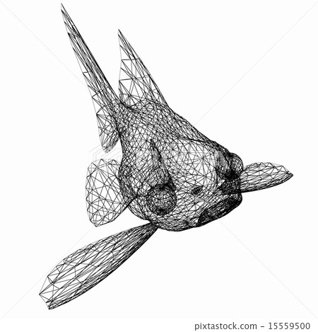 Fish 15559500