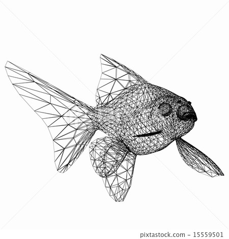 Fish 15559501