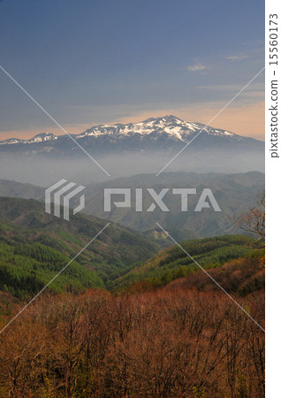 Suzuran Highland Country Spring Suzuran Highland Country Spring 15560173