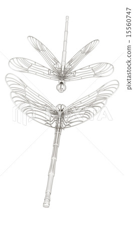 Dragonfly 15560747