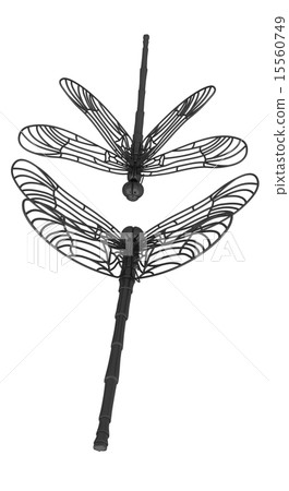 Dragonfly 15560749