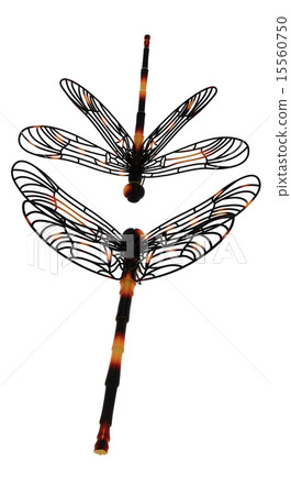 Dragonfly 15560750