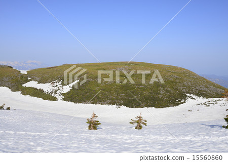 Hakuba Norikura Hakuba Norikura 15560860