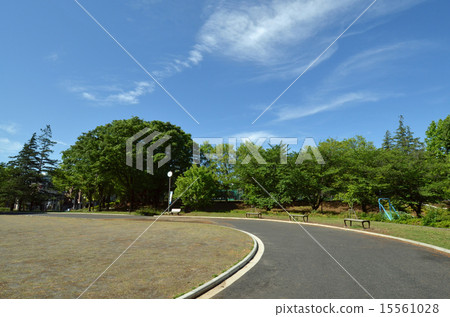 Mijigaoka Park 15561028