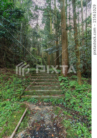 The approach to the Ryusoji temple of the Iwami Ginzan in spring 15561029