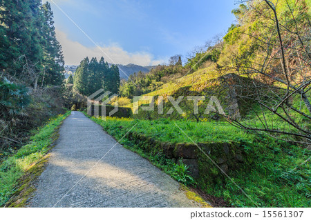 Traces of Shimizuya Smelter in Iwami Ginzan, spring 15561307